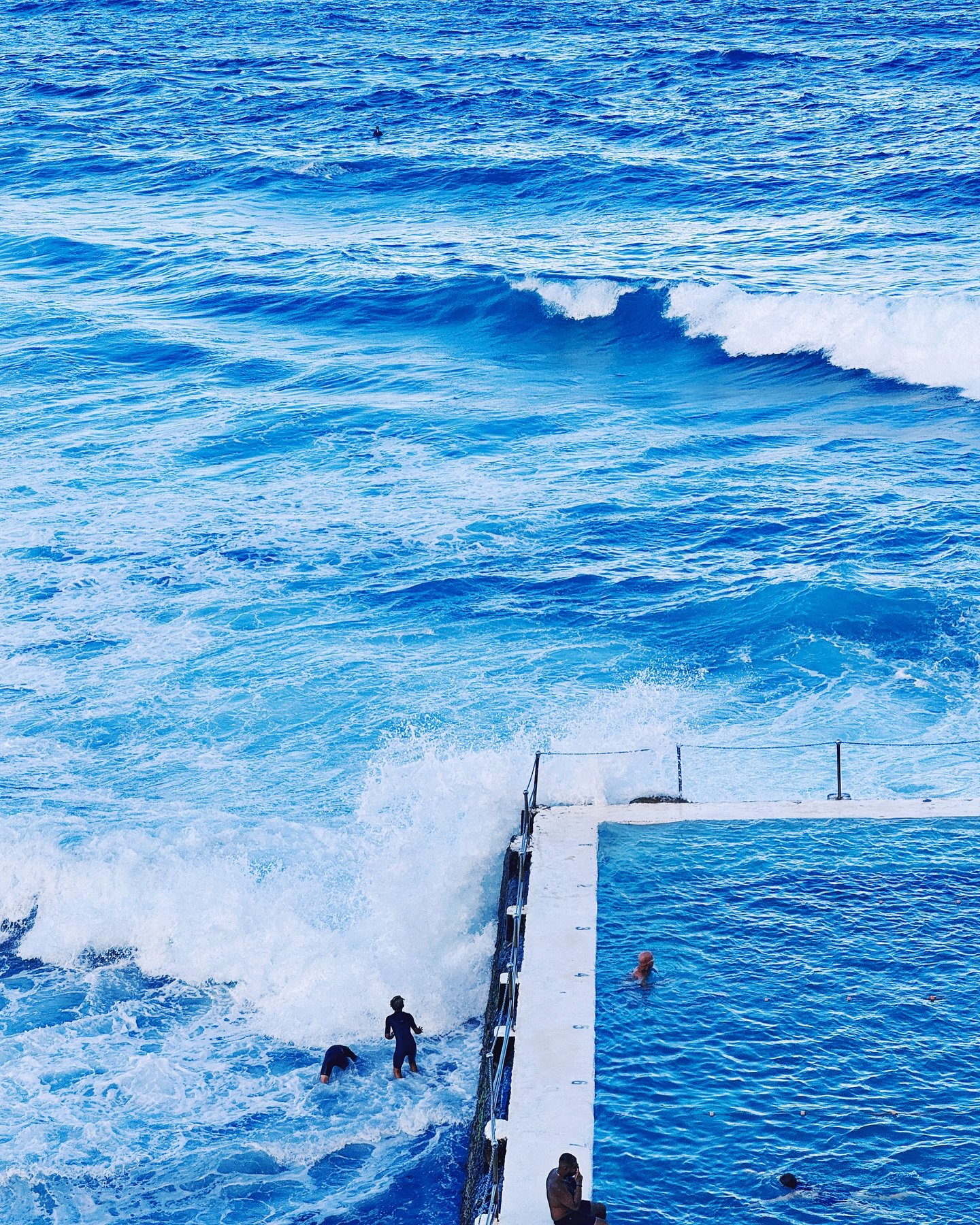 Coogee to Bondi Walk was ethereal