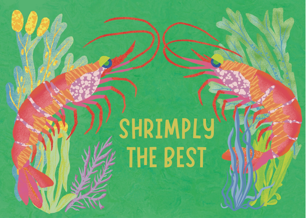 Shrimply the Best.PNG