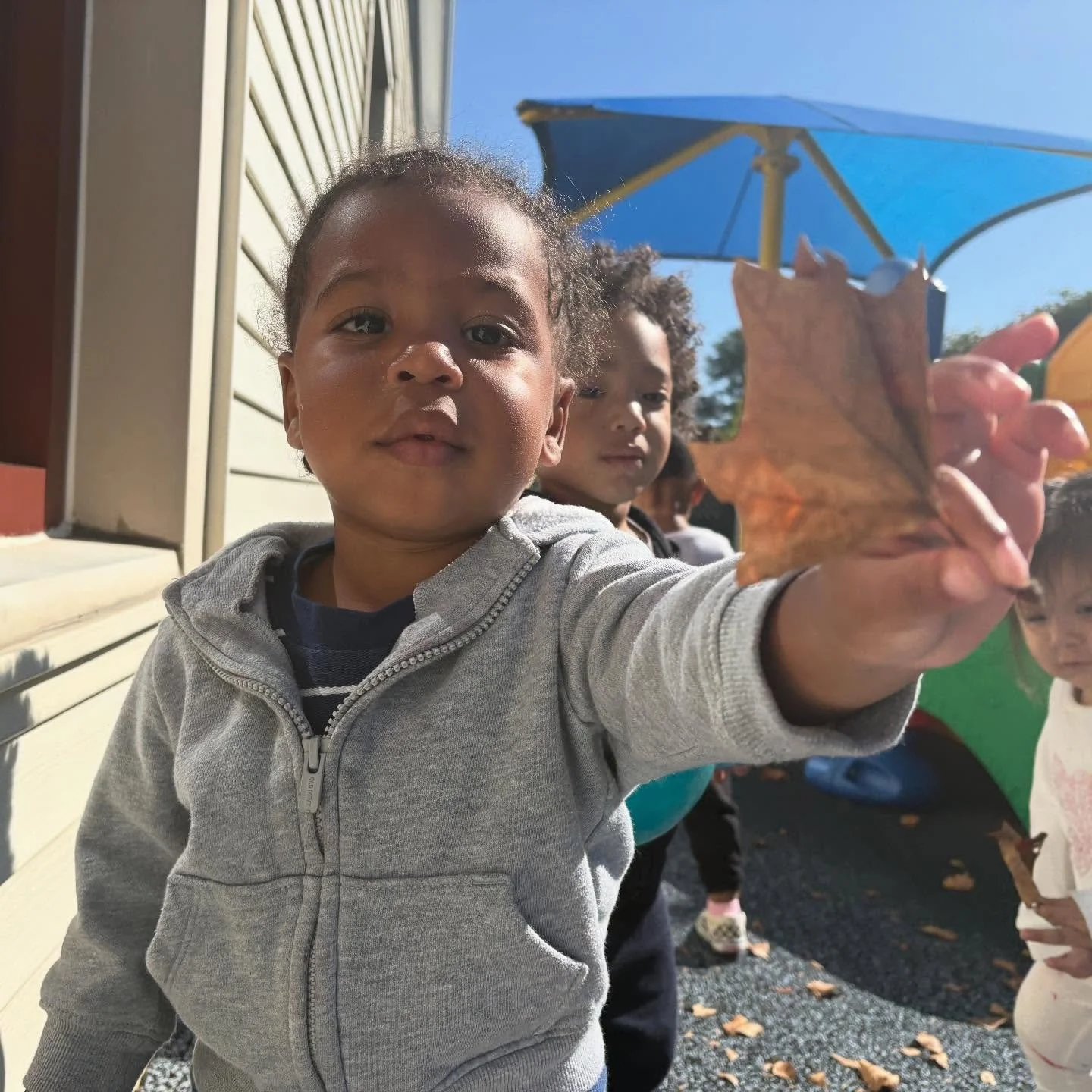 The Blue Room enjoyed their morning on the playground! They were interested in picking up leaves and hearing the crunch sound! 🍁🍂