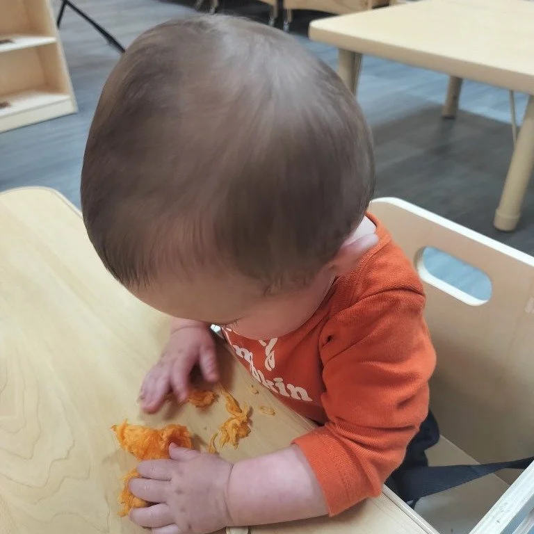 The Rainbow Room had mixed emotions about their Pumpkin Investigation! 🎃