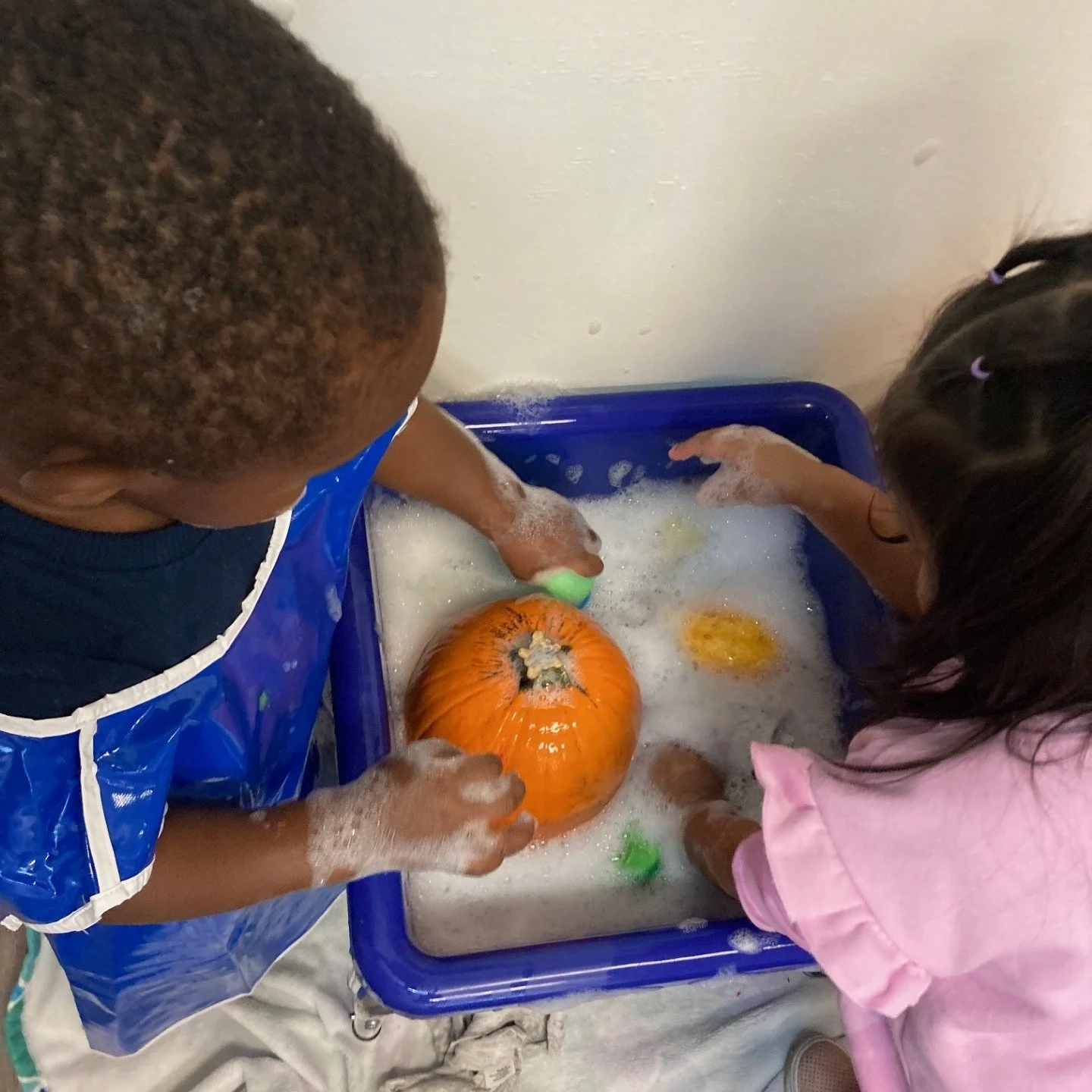 Today was Pumpkin Investigation Day!❤