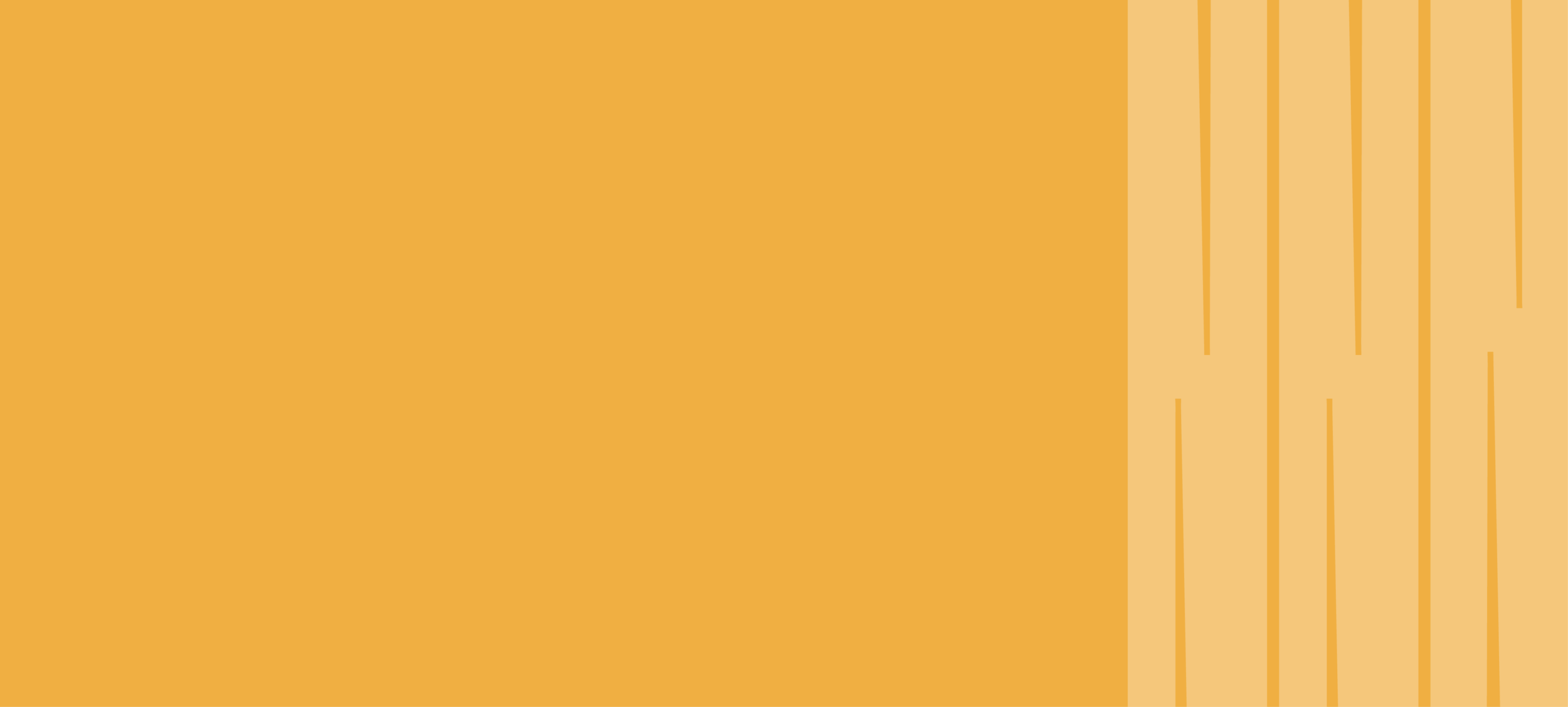 Banner Pattern and Color-01.png