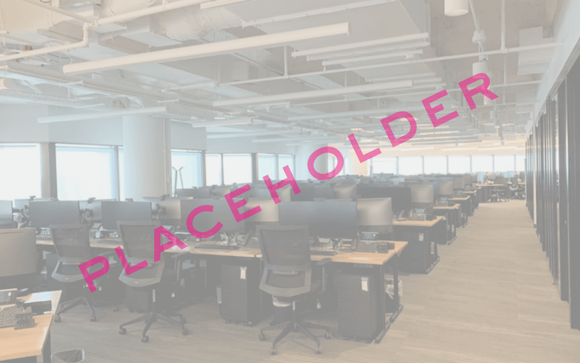 Spec Suite 03.png
