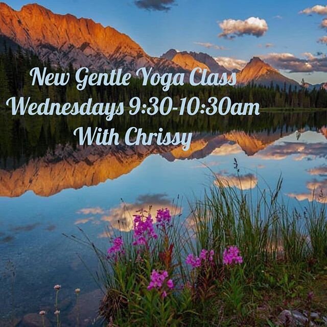 Introducing YOGA for stress relief. Join us every Wednesday morning for this gentle yoga practice. Suitable for beginners and beyond. #easetension #reducestress #breathe #move #yoga #alllevels #seeyousoon #❤️
