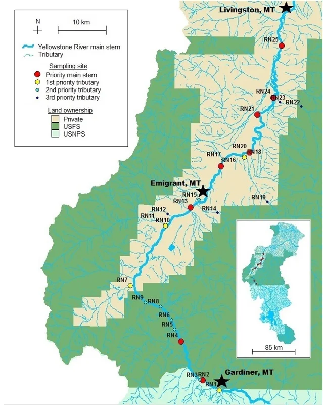 RiverNET1.jpg