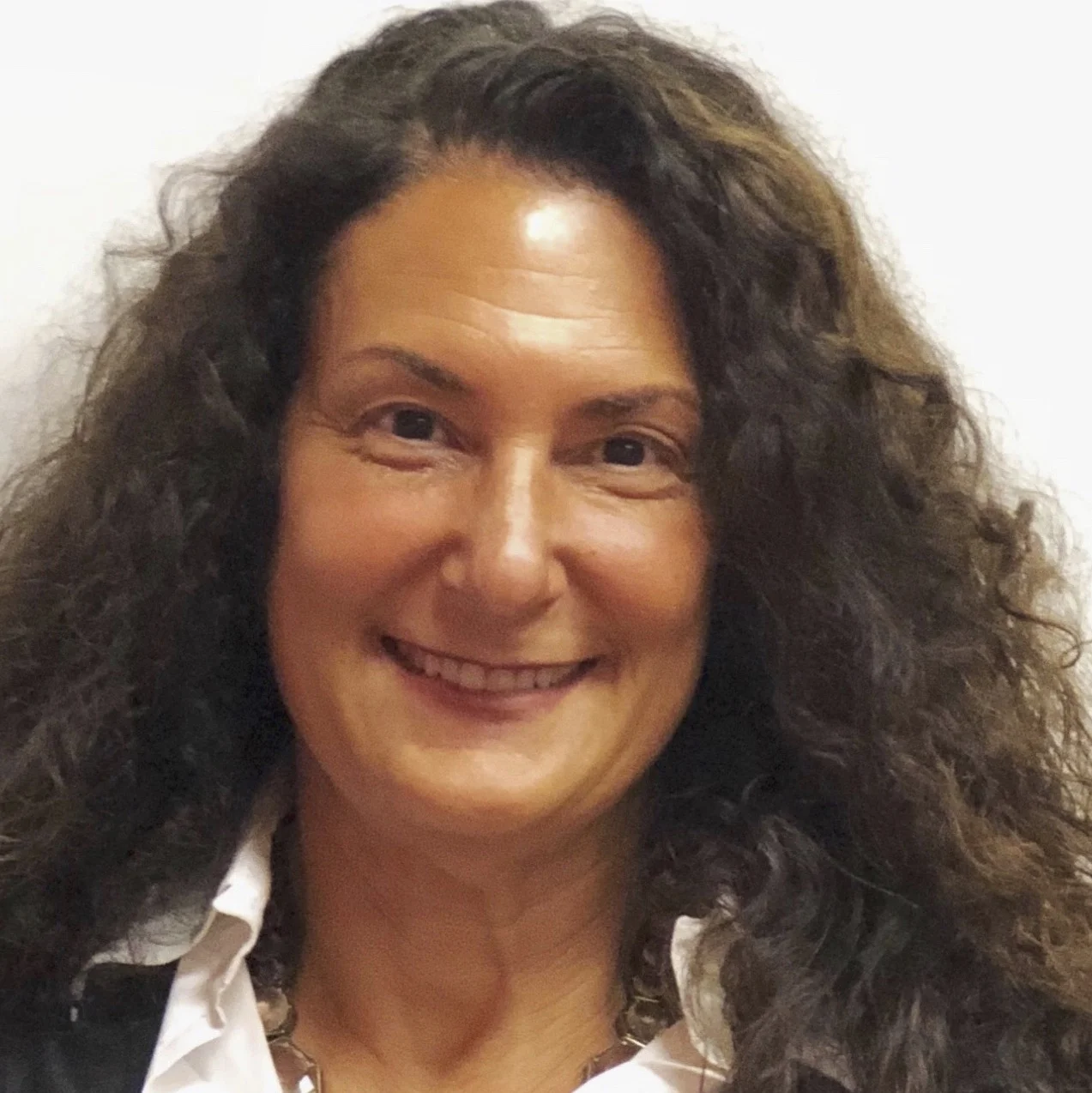 Willa Perlman - Co-CEO, LPA Search Partners