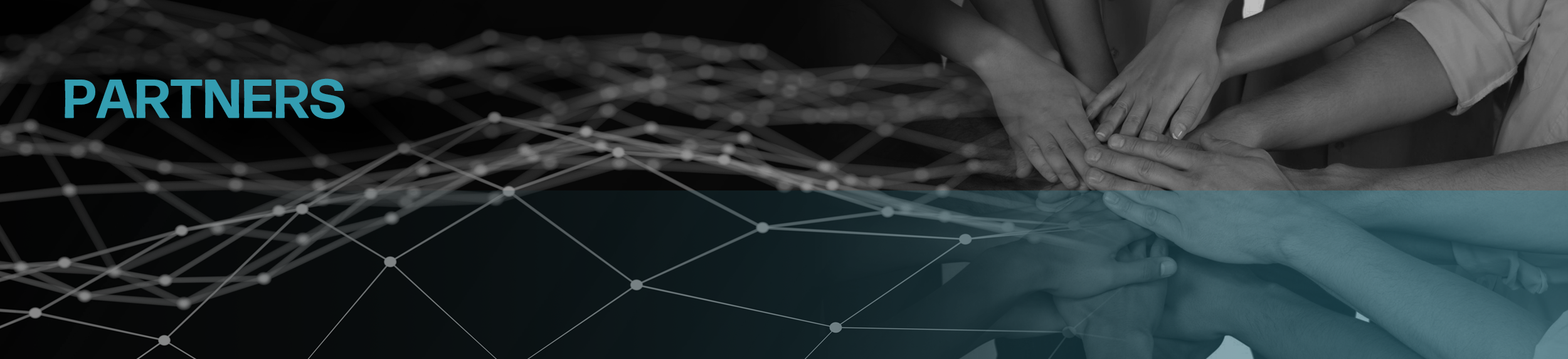 Partners Banner.png