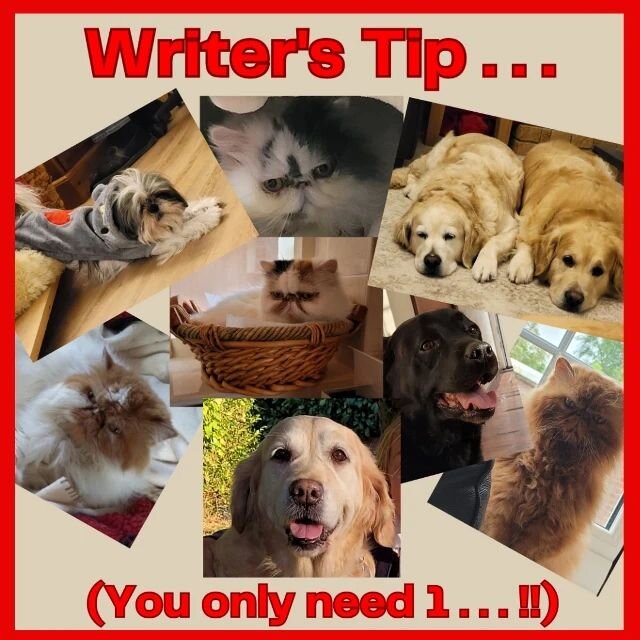 Writer's Tip . . . (You only need 1 . . .!!) Yes, this motley crew are all mine, bless 'em, and much as I love each and every one of them, they don't write my books for me. Well . . . my black Lab Cody has an input to be fair - he has a very importan