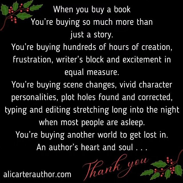 When you buy a book you're buying so much more than just a story. You're buying hundreds of hours of creation, frustration, writer's block, and excitement in equal measure. You're buying scene changes, vivid character personalities, plot holes found 