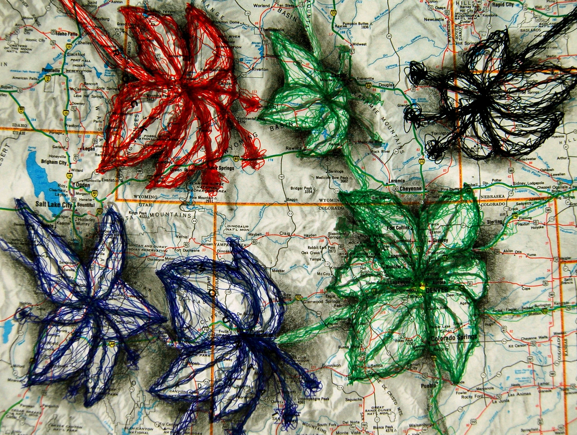 These Roots Run Deep