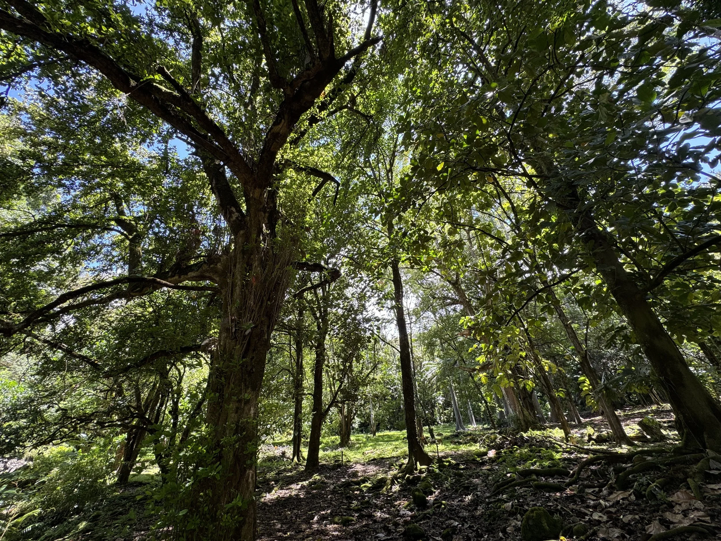 Make Room for Growth