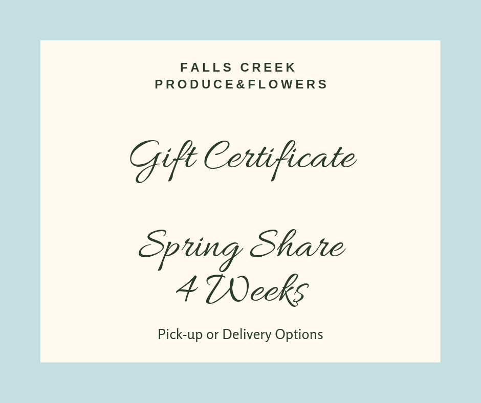 Spring Gift Certificate.jpg