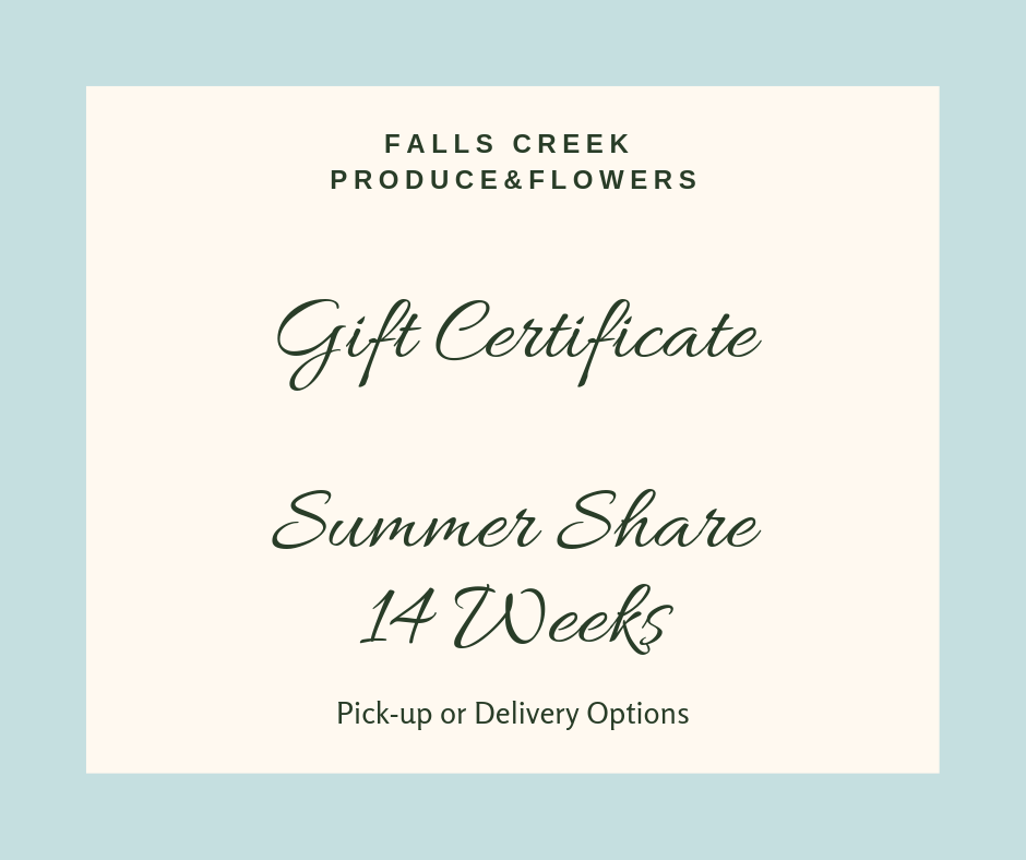 summer Gift Certificate.png