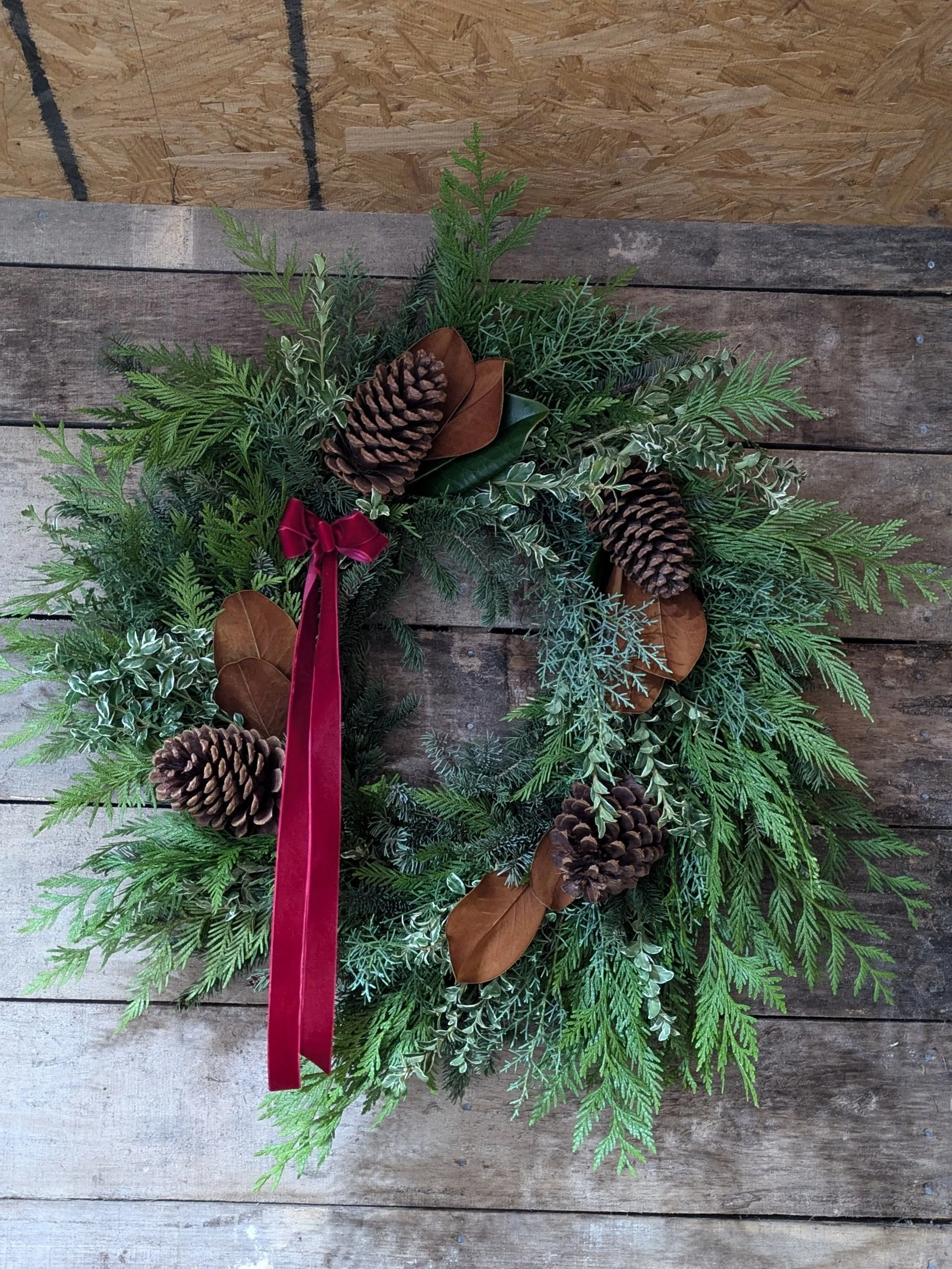 processed_PXL_20241116_003130205.PORTRAIT.ORIGINAL.jpg (Copy)