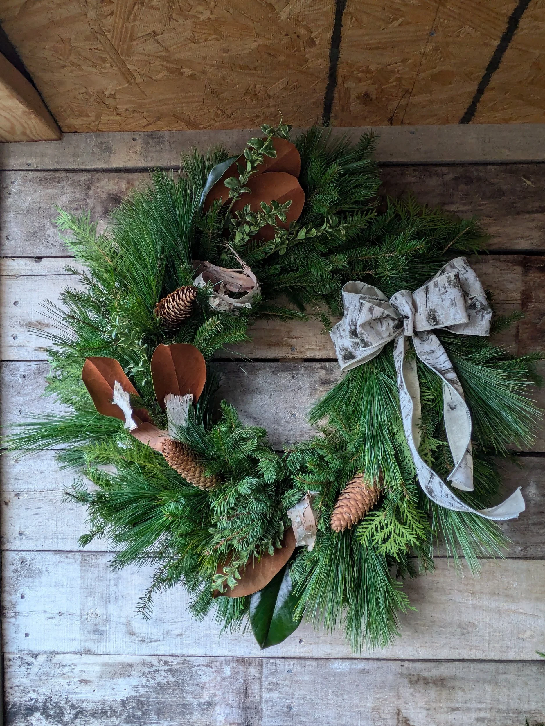 processed_PXL_20241129_202148188.jpg (Copy)