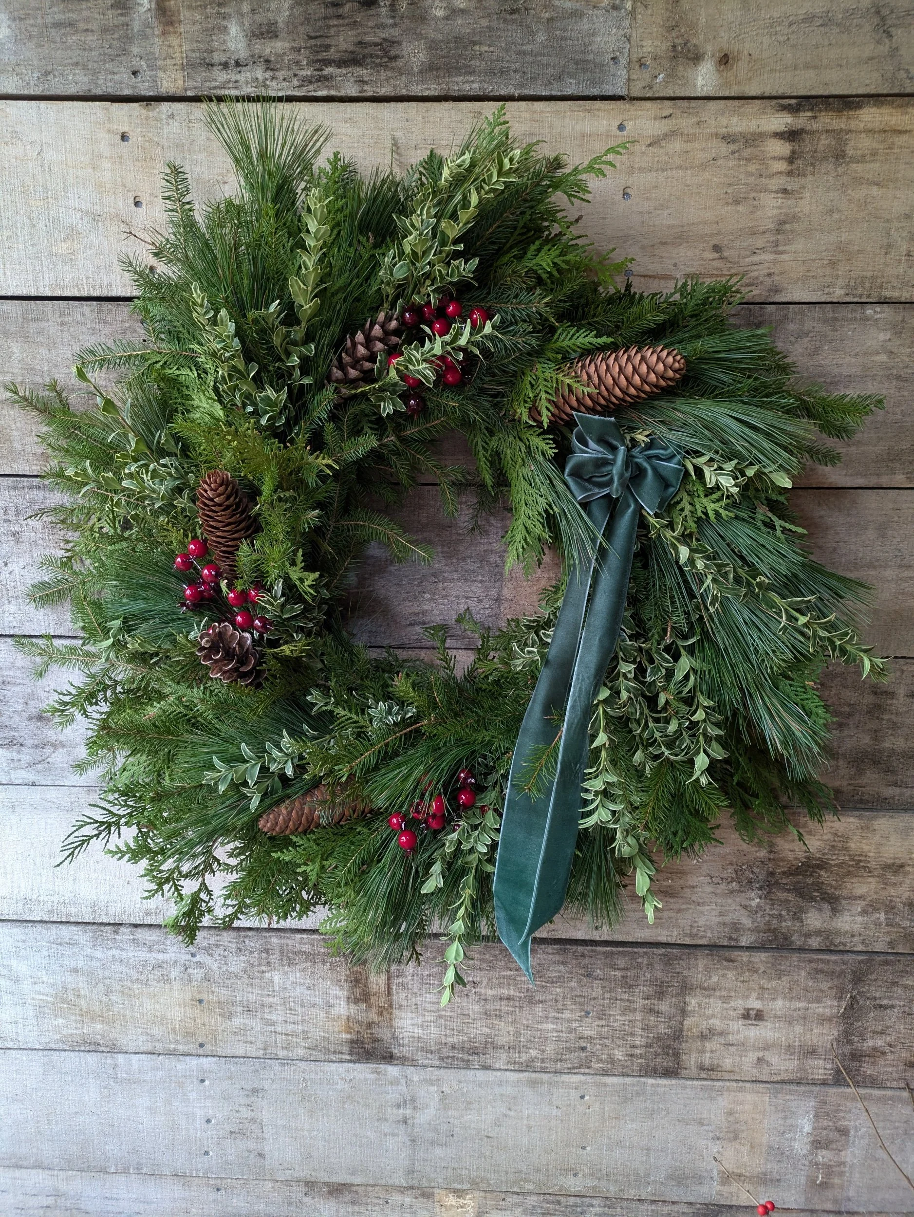 processed_PXL_20241117_182925837.MP.jpg (Copy)