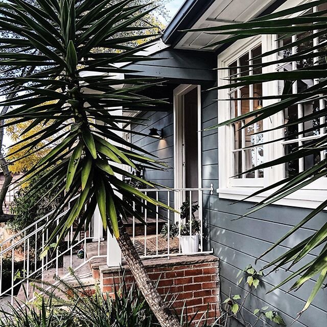 I am on my first office tour of the decade and here&rsquo;s what Hanna Kerns got in the Berkeley Hills!! Scroll and see the back yard as well! #berkeleyrealestate #berkeleyrealtor