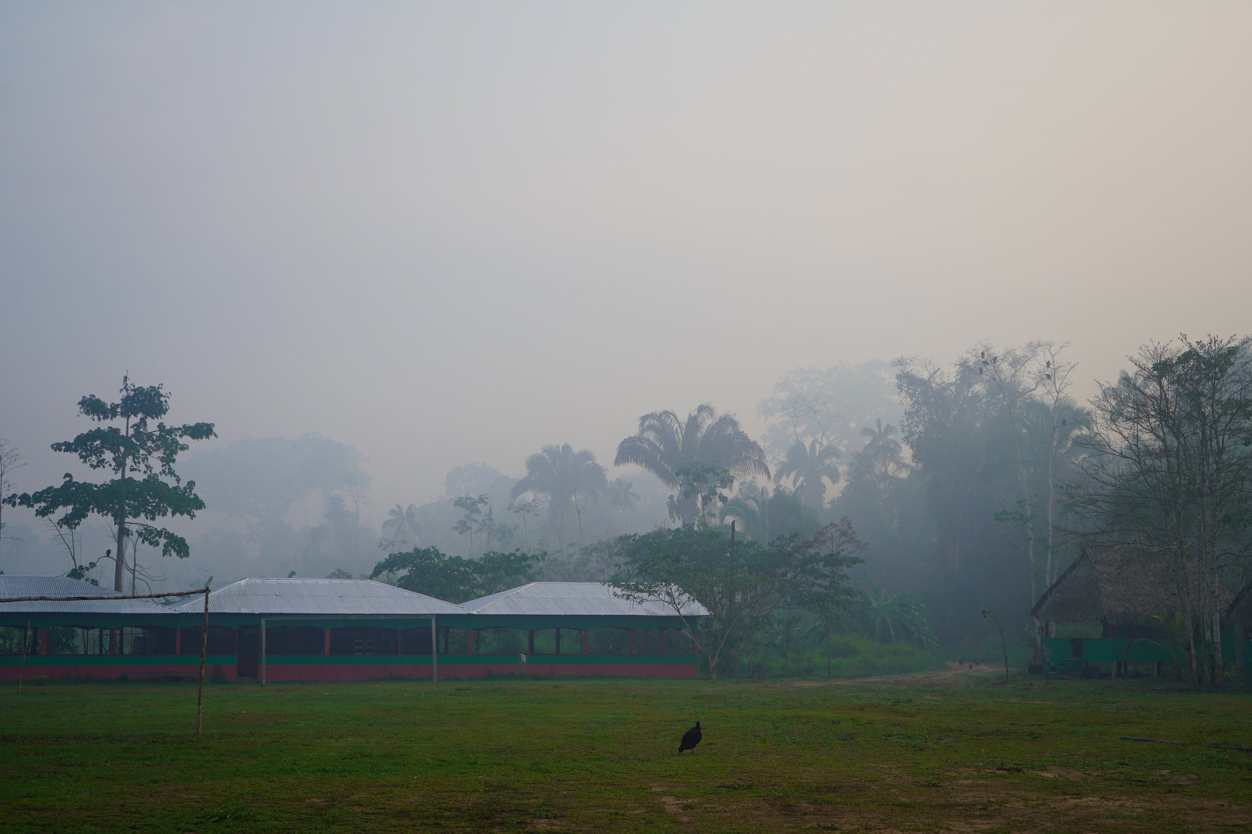 A rural scene with a grassy field, trees, and simple buildings with metal roofs, shrouded in mist or fog.
