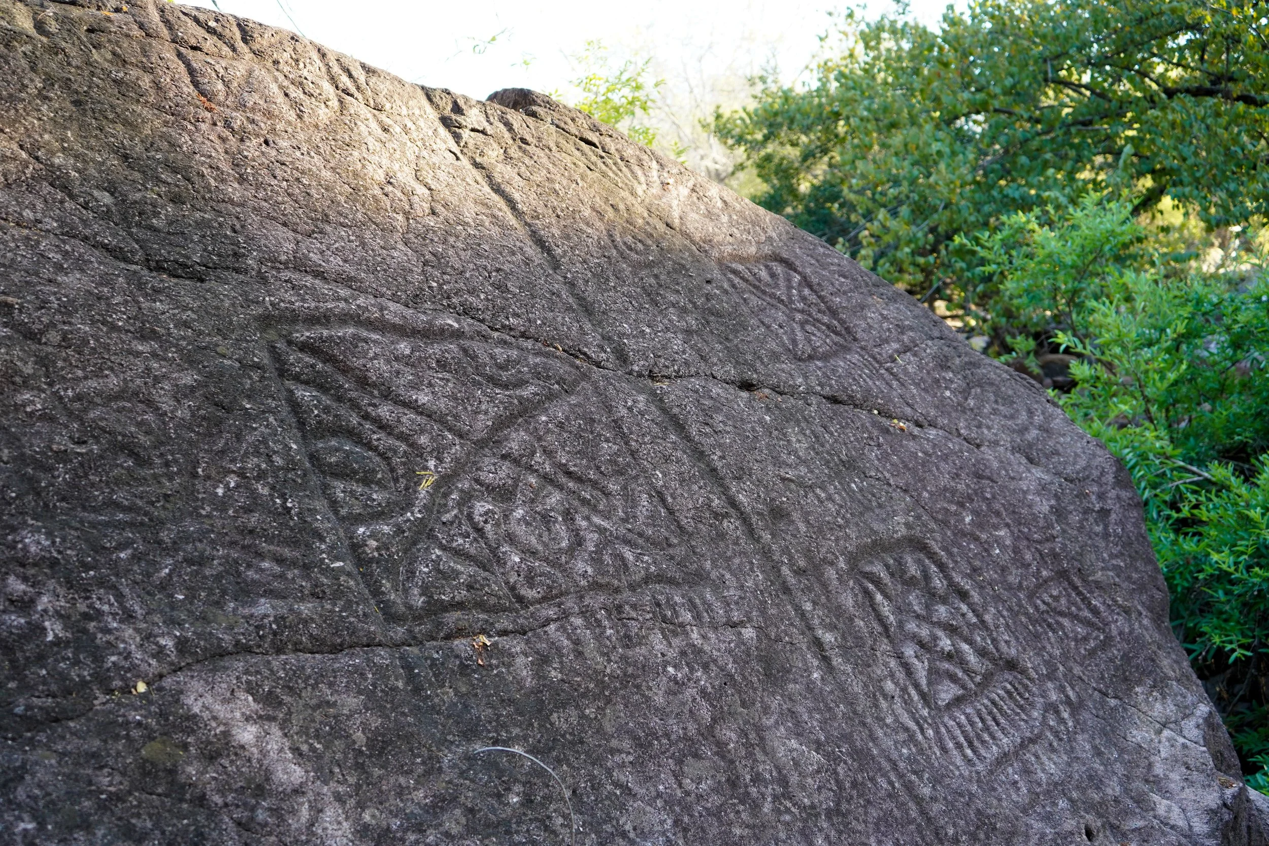 Carved petroglyphs etched into a large stone surrounded by greenery.