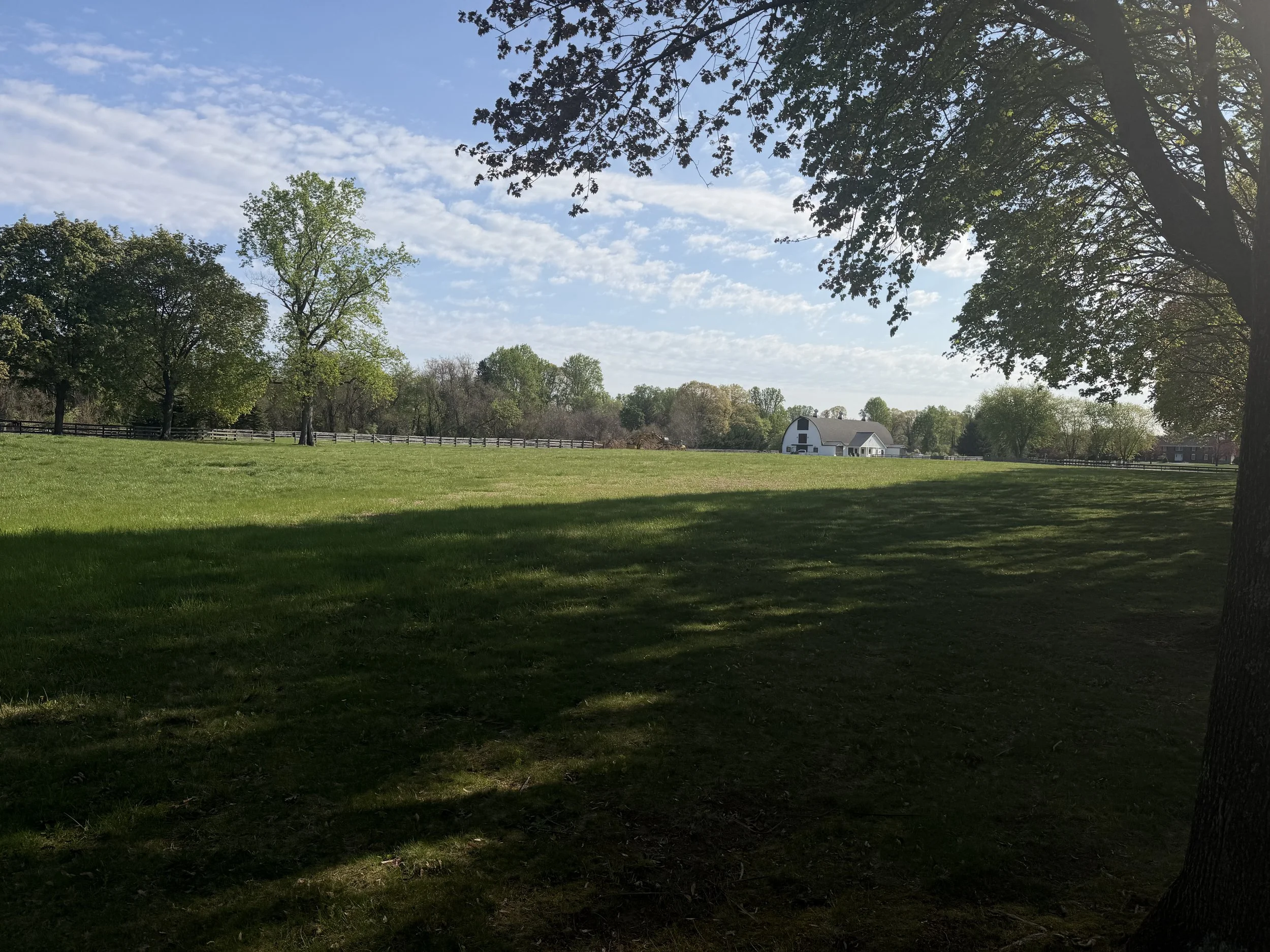 IMG_3772.jpeg