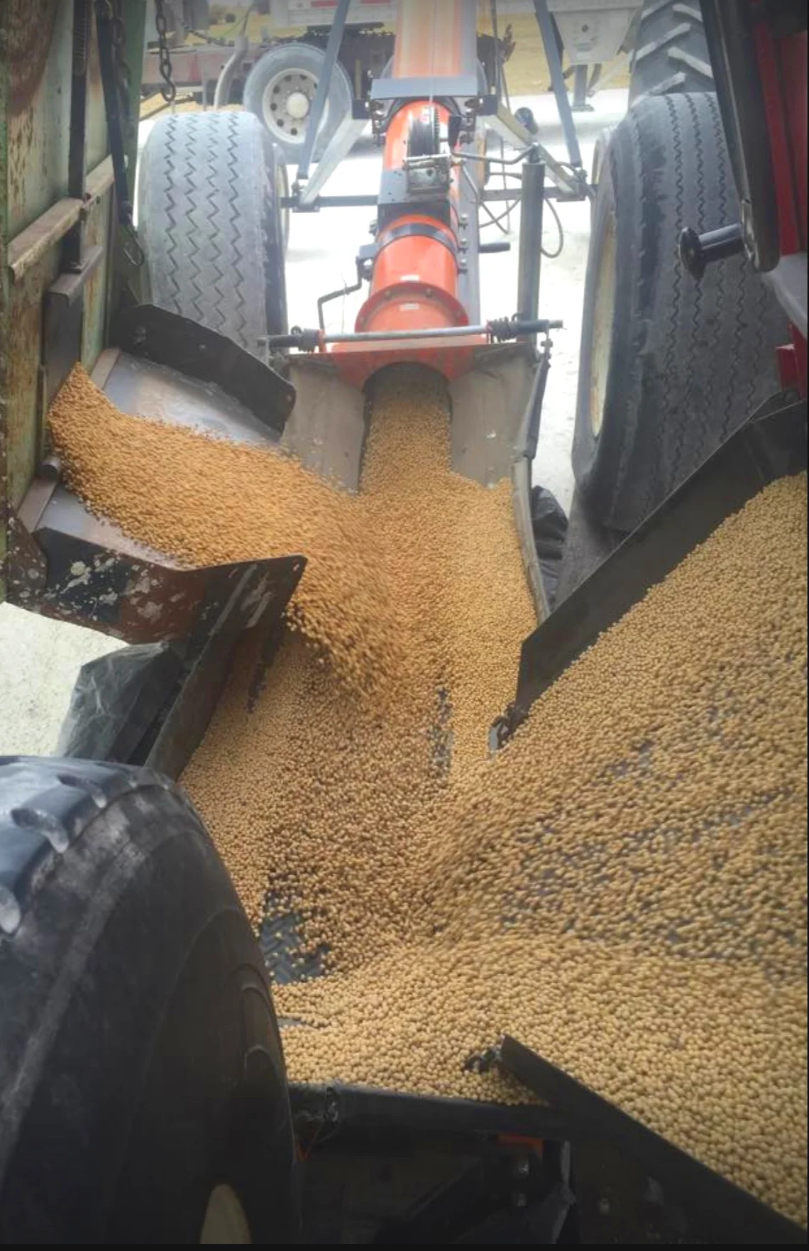 SoybeanHarvest.jpg