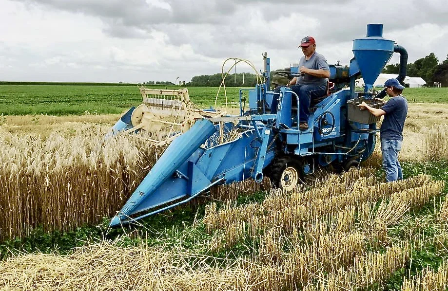 Harold collaborates with the University of Illinois in variety trials, and uses a small combine to harvest the test plots.