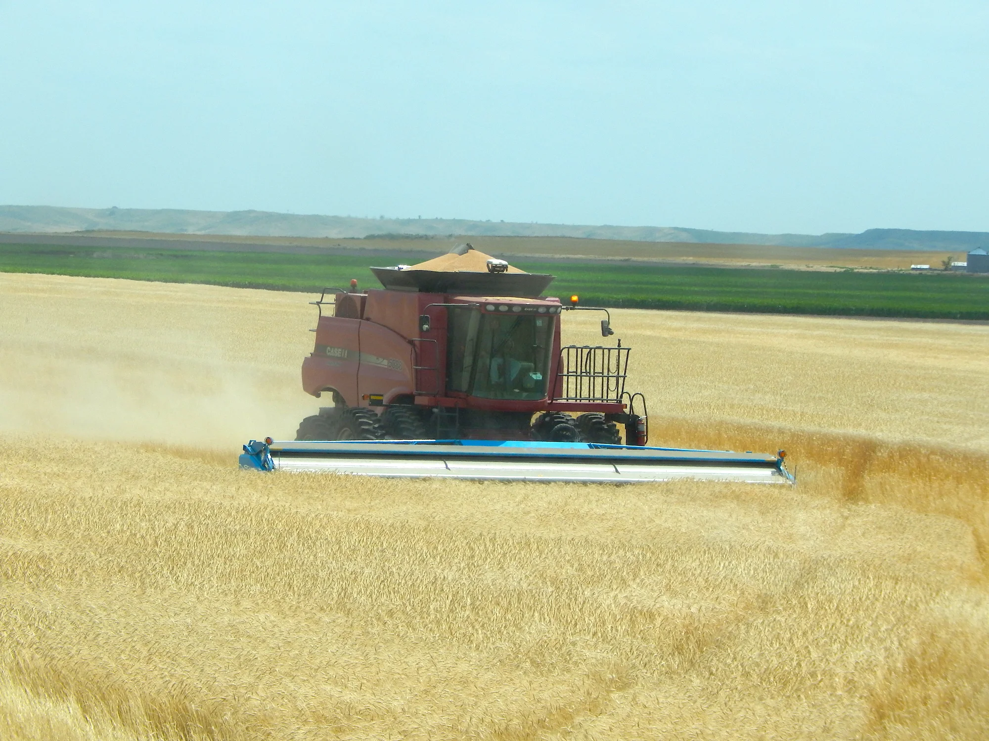 Luhrs Farm at harvest time.