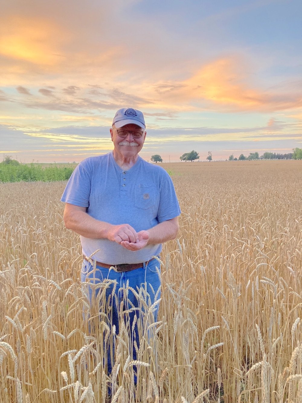 Harold in field at sunset sm.jpeg