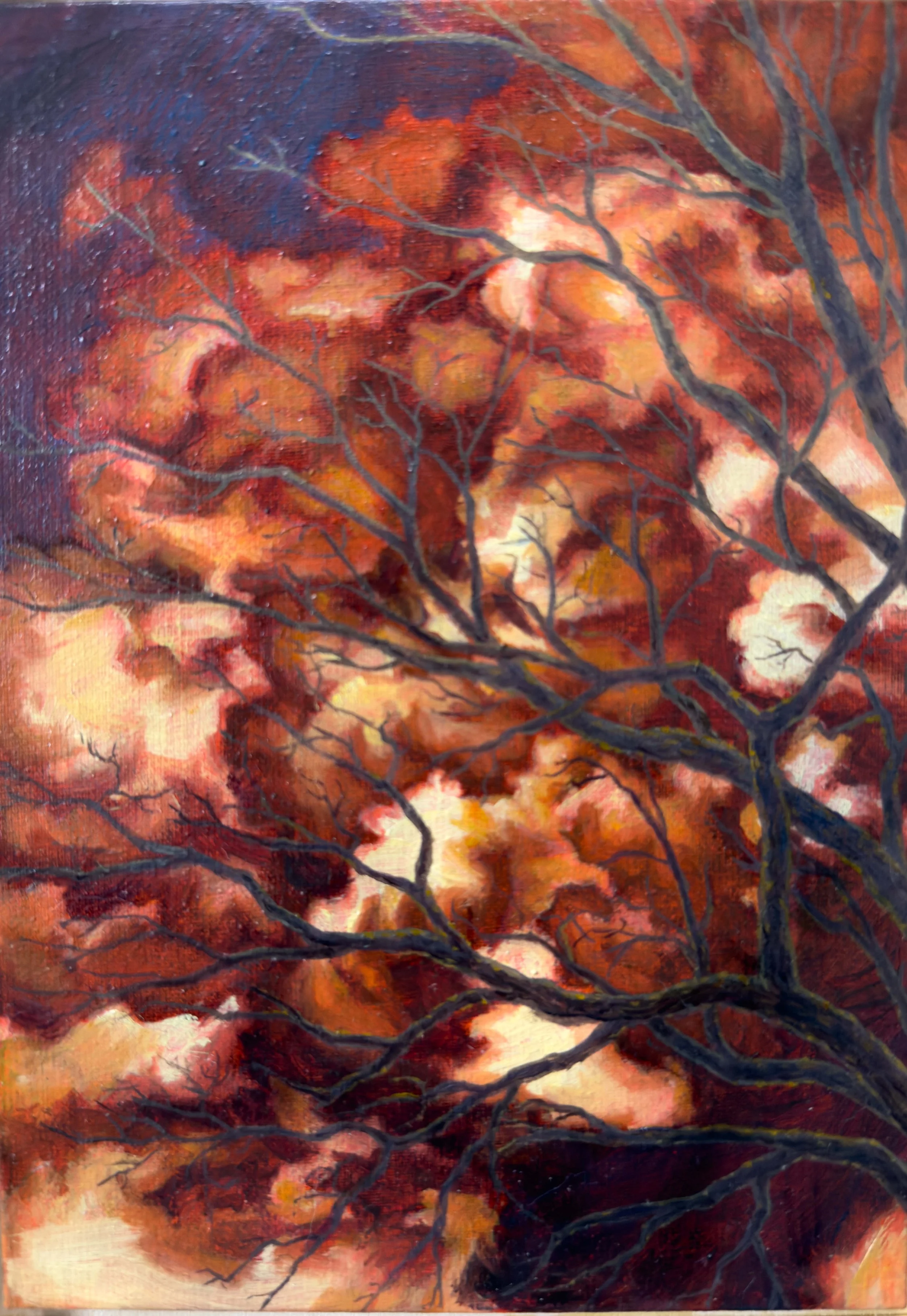 (Small) Burning Bush Side B.jpg