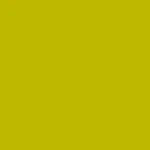 local-first-lightgreen-bg.jpg