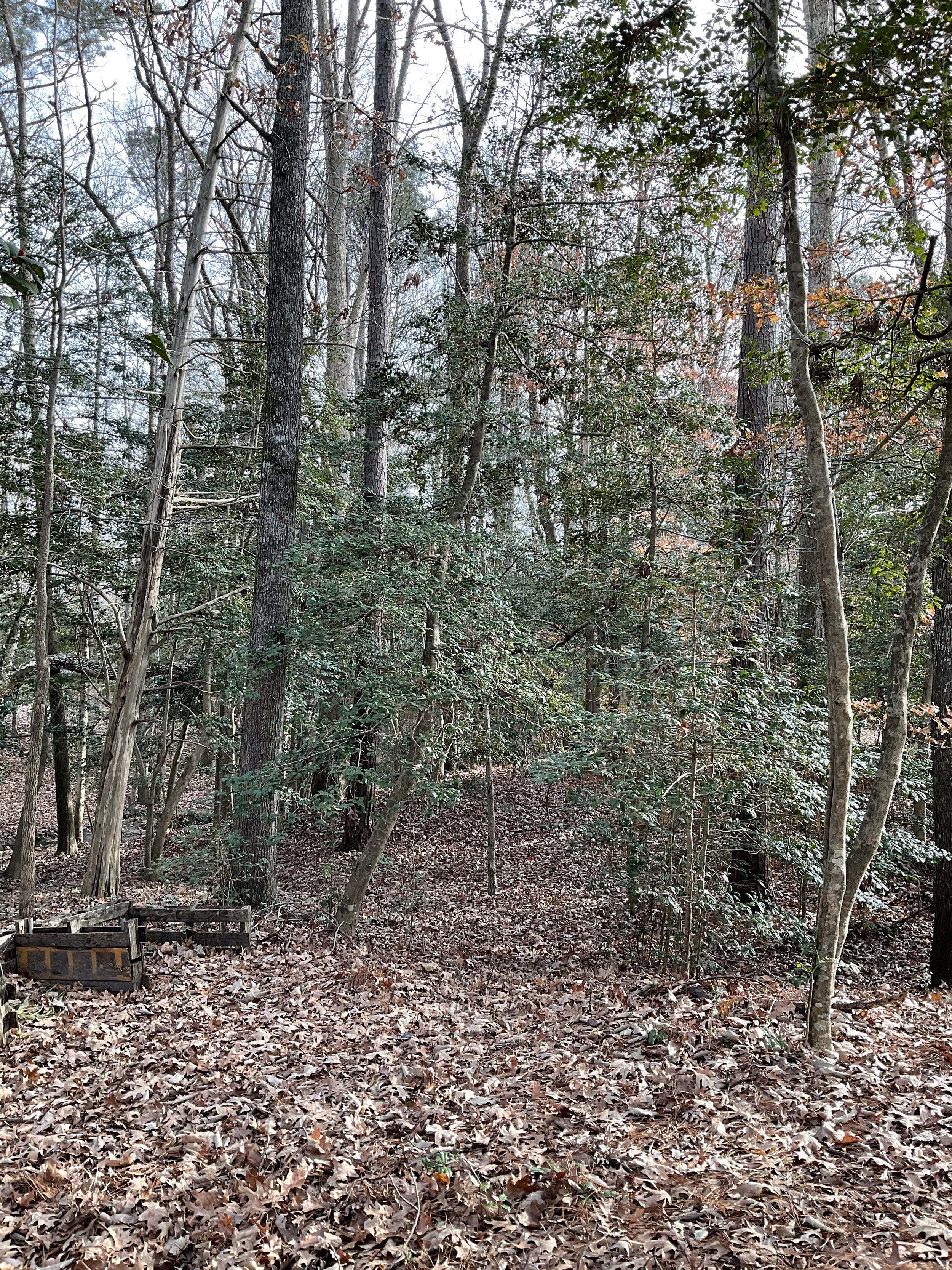 Decorating with Nature