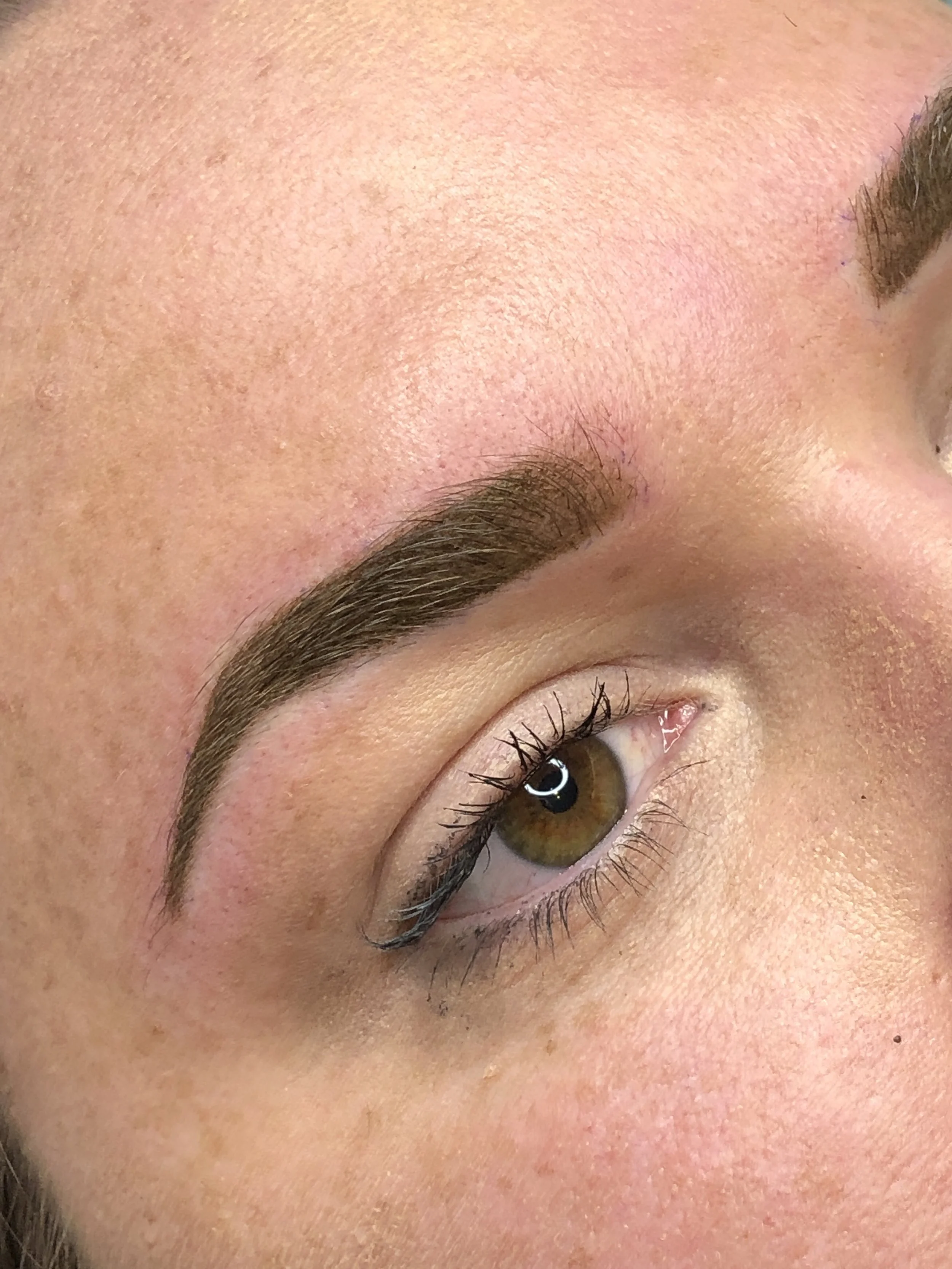 Photo 4-02-19, 1 56 39 PM.jpg