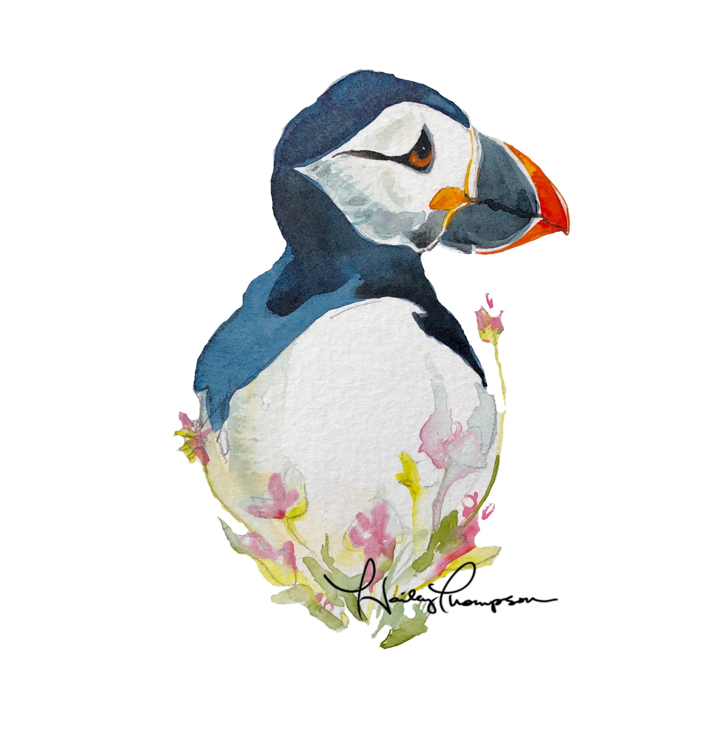 Pensive Puffin_for web.jpg