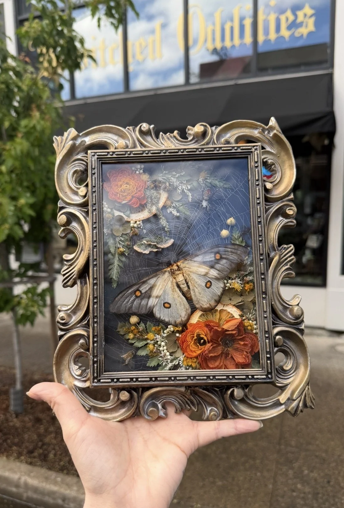 IMG_1967 - Bewitched Oddities.jpeg