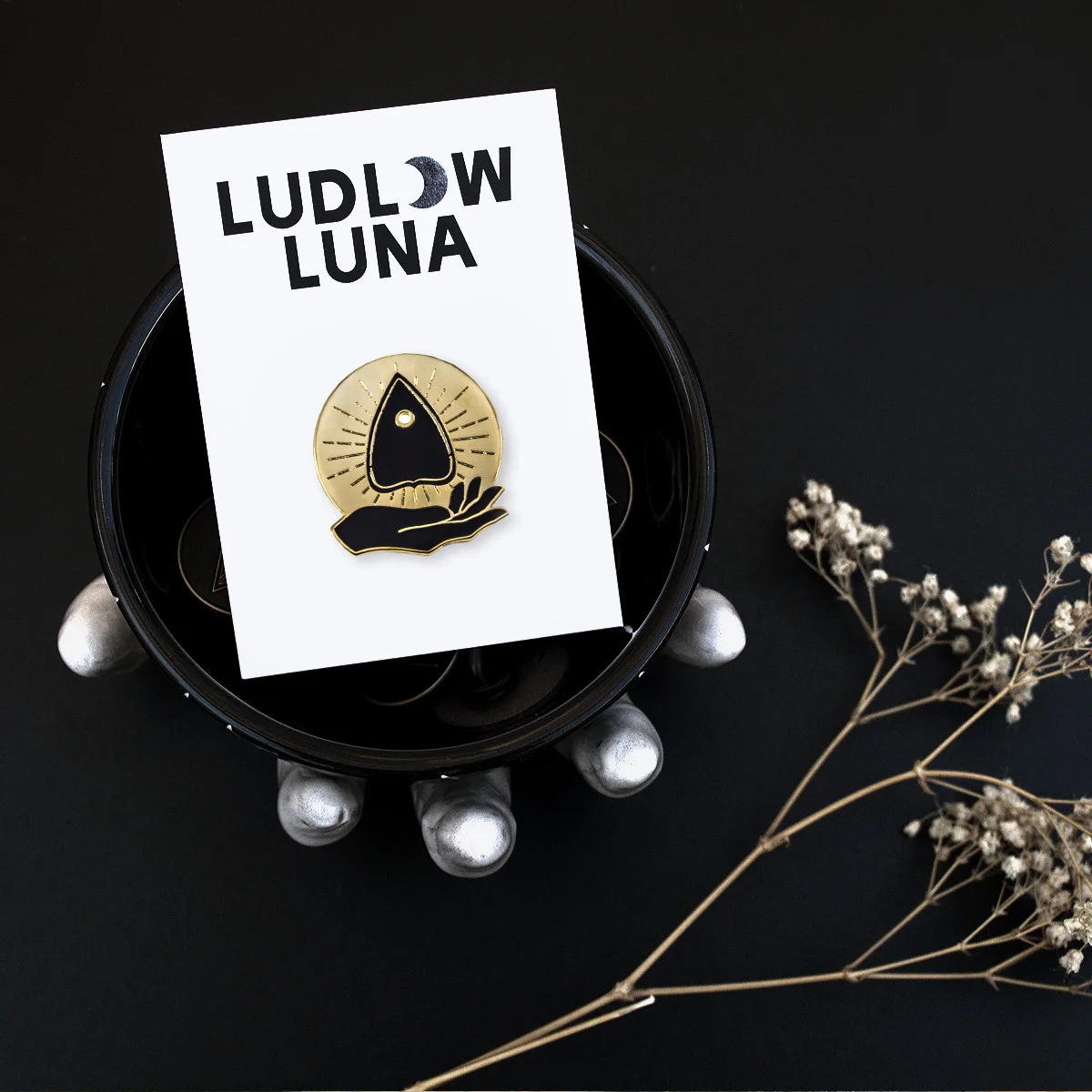 Ludlow Luna