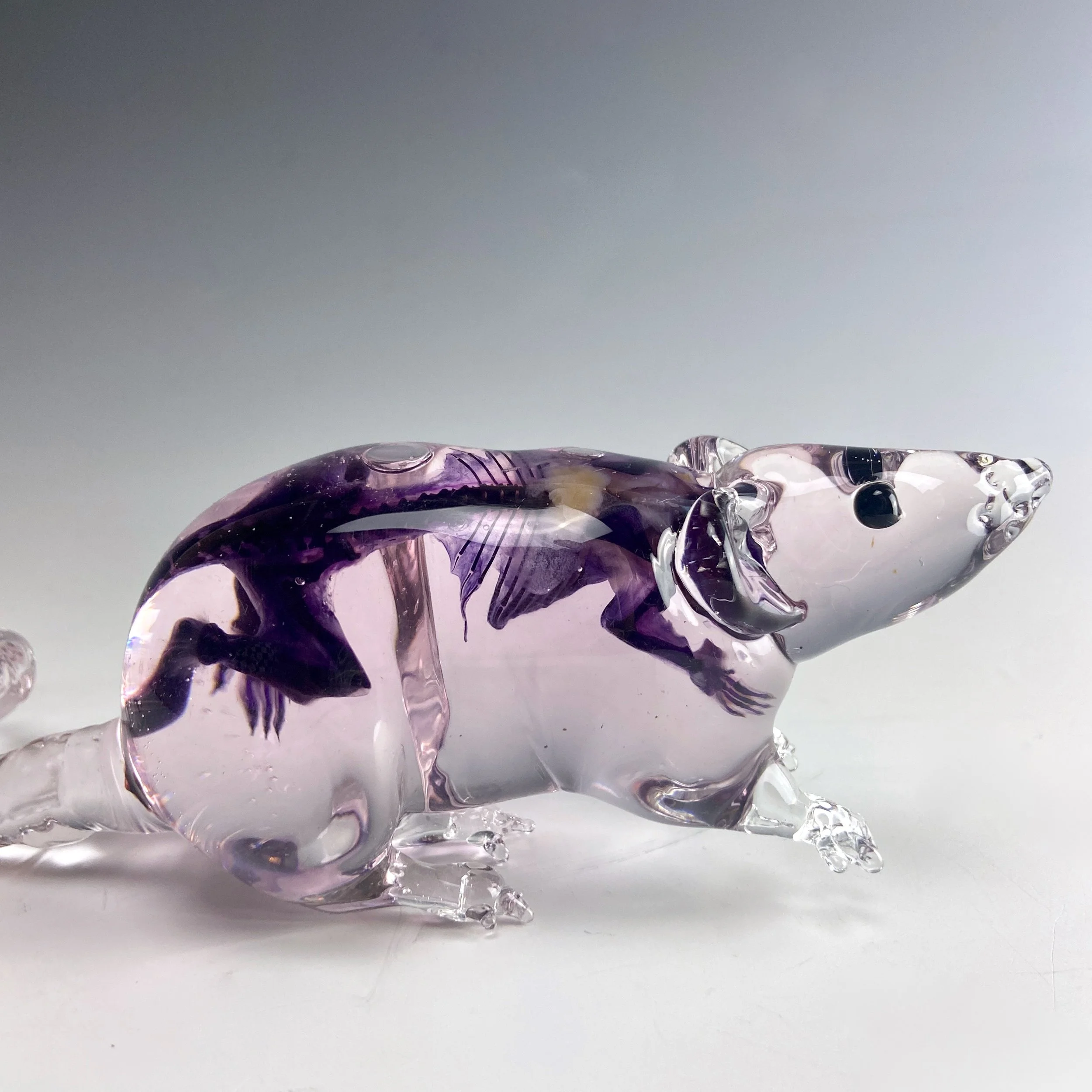 IMG_7541 2 - Sarah Band.jpeg