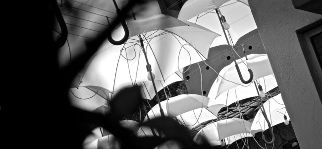 umbrellas