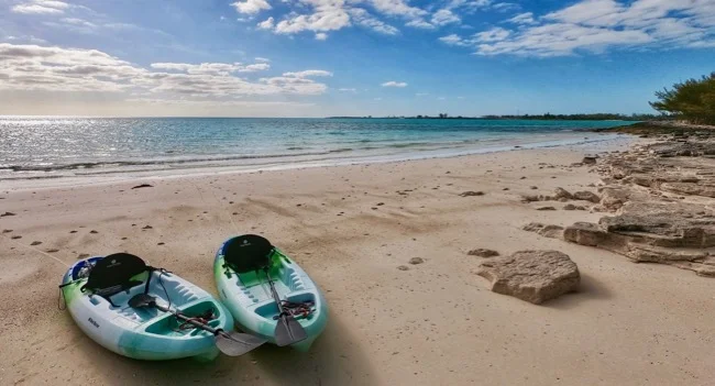 kayaks on beach.jpg