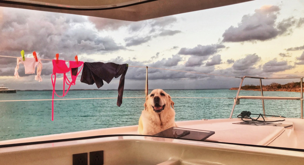 karma on deck.jpg