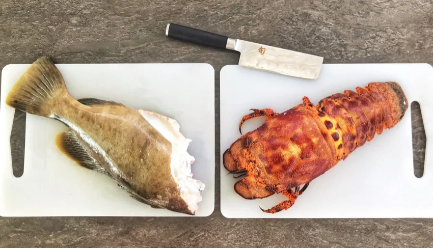 dinner.jpg