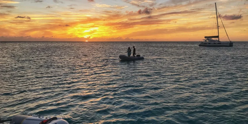 sunset and new freinds.jpg