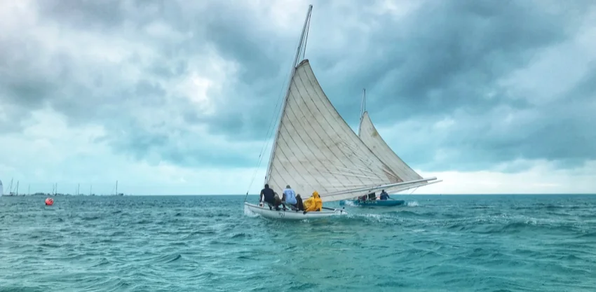 sloop.jpg