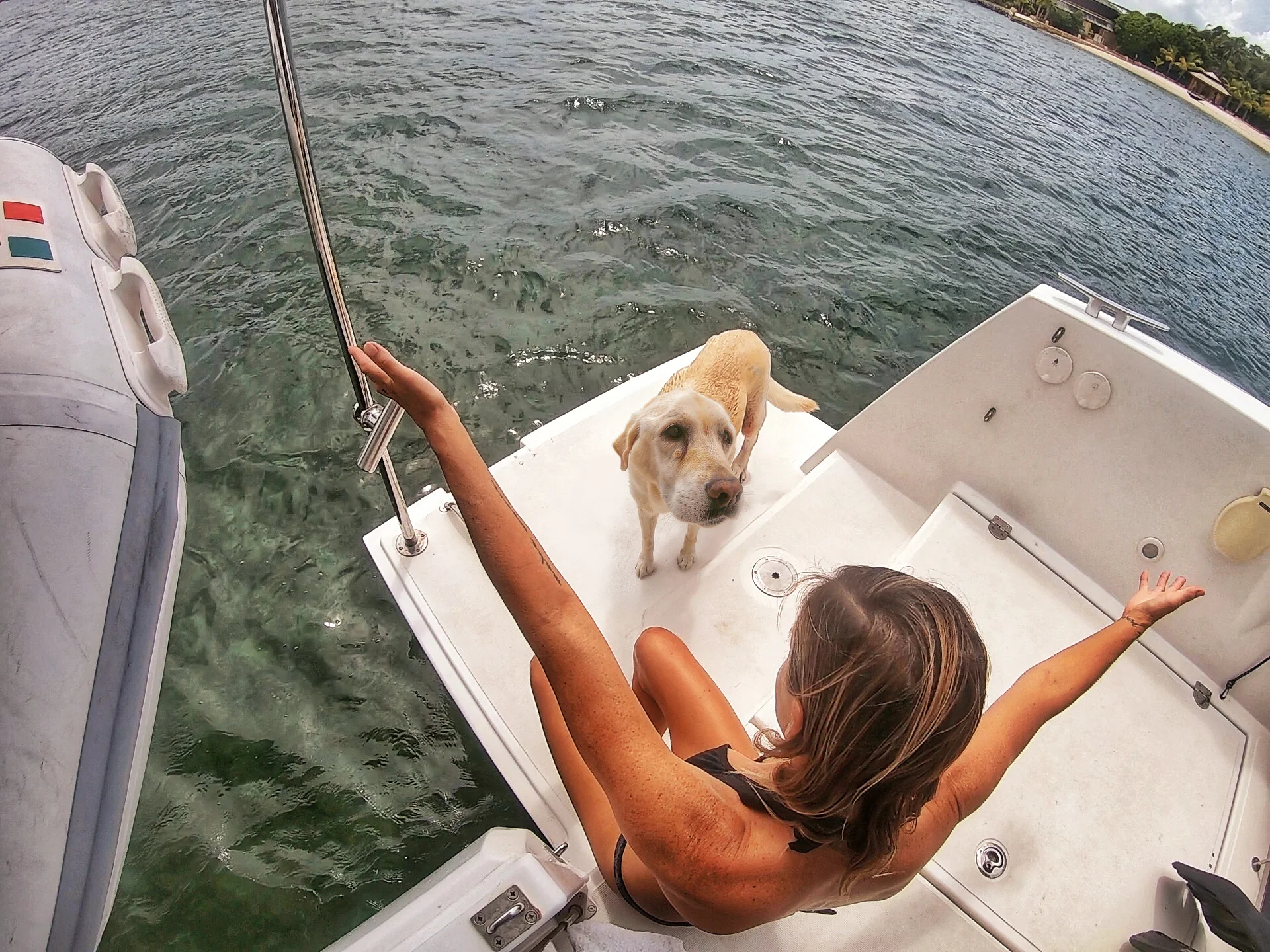 dog day.jpg
