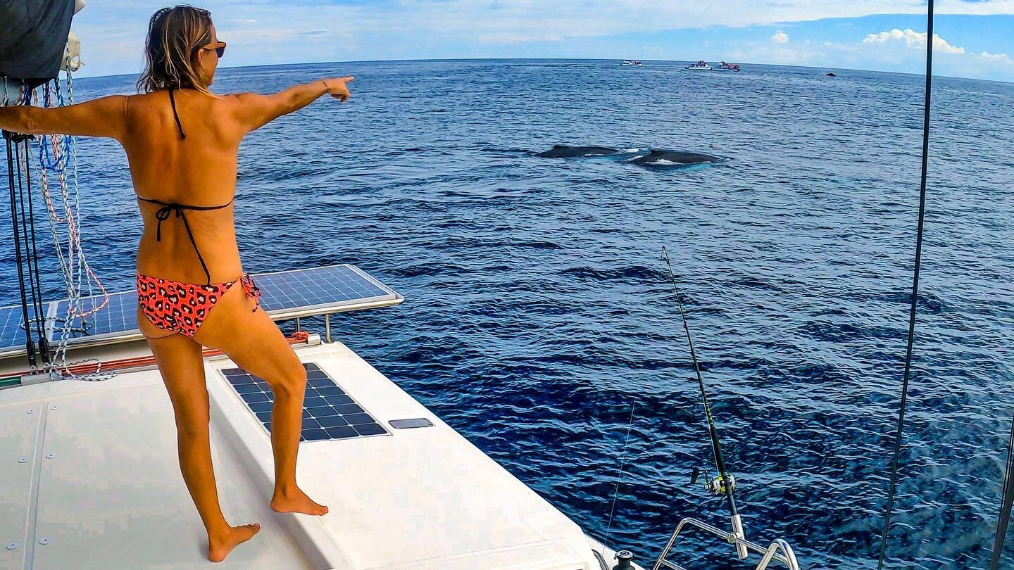 We decided to duck into Samana to let the approaching weather  pass before continuing to the Bahamas.
.
By the time we rounded the point into the bay the wind was gone and the water was glass smooth, so we decided to drop the sails and motor to the m