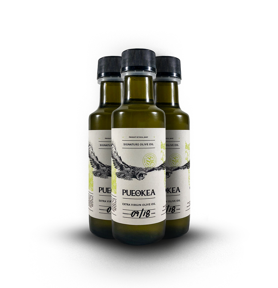 OliveOil-3Pack.png