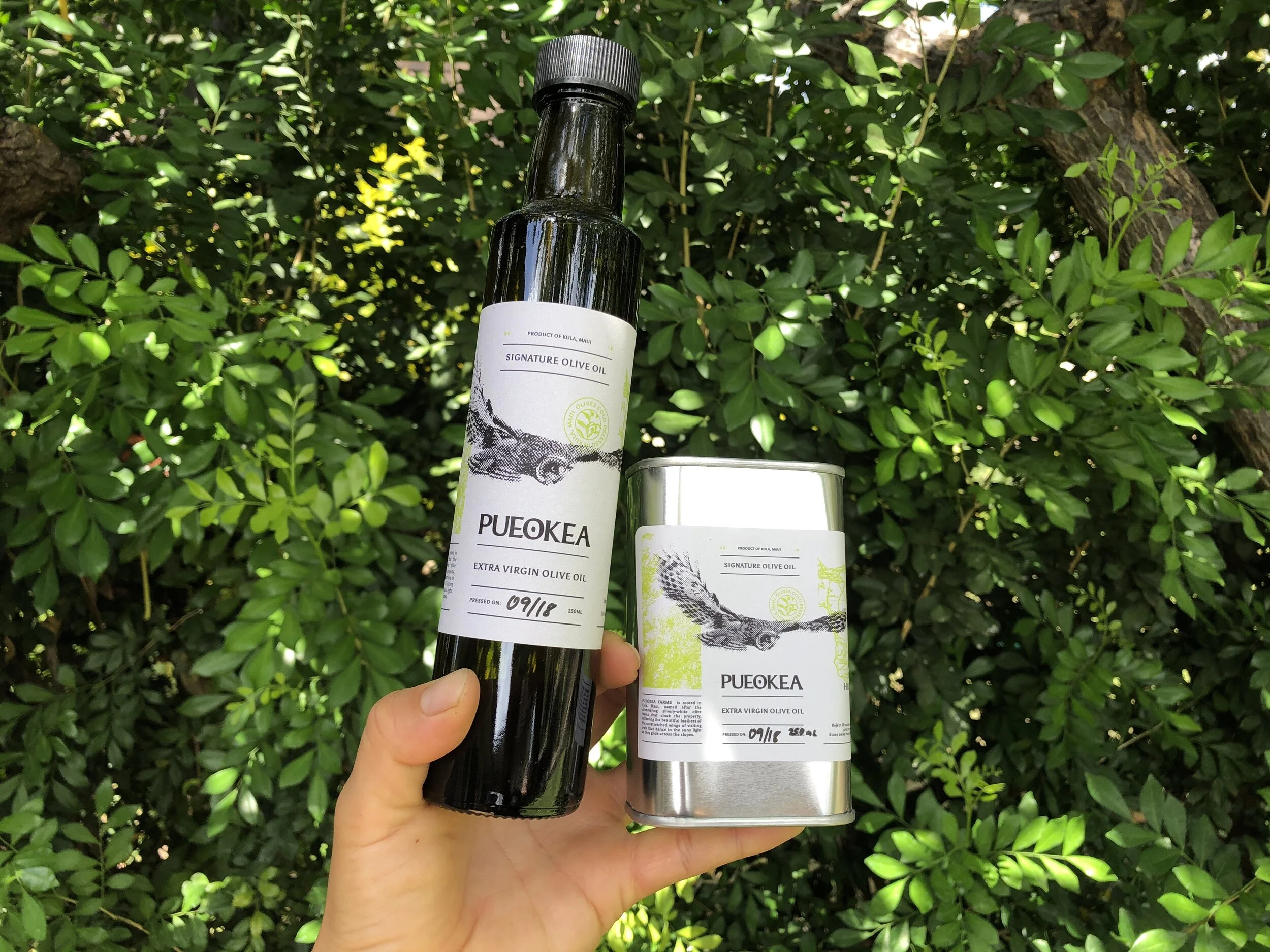 The Packaging Difference and Our Testing Phase