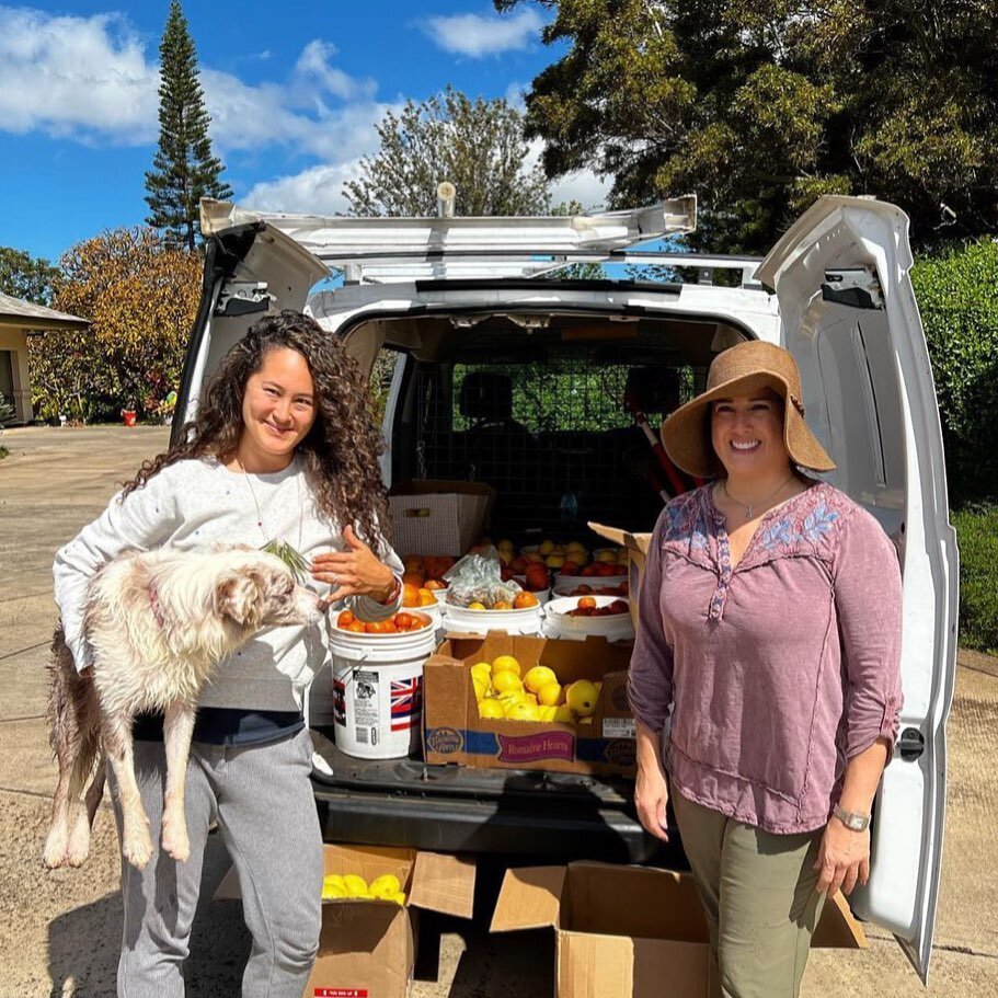 We were late in positing this too! 

Mahalo @cgcmaui for bringing our citrus abundance to the community! You ladies rock 🤙! 

#community #foodabundance #foodsecurity #familyfarms #citrus #maui