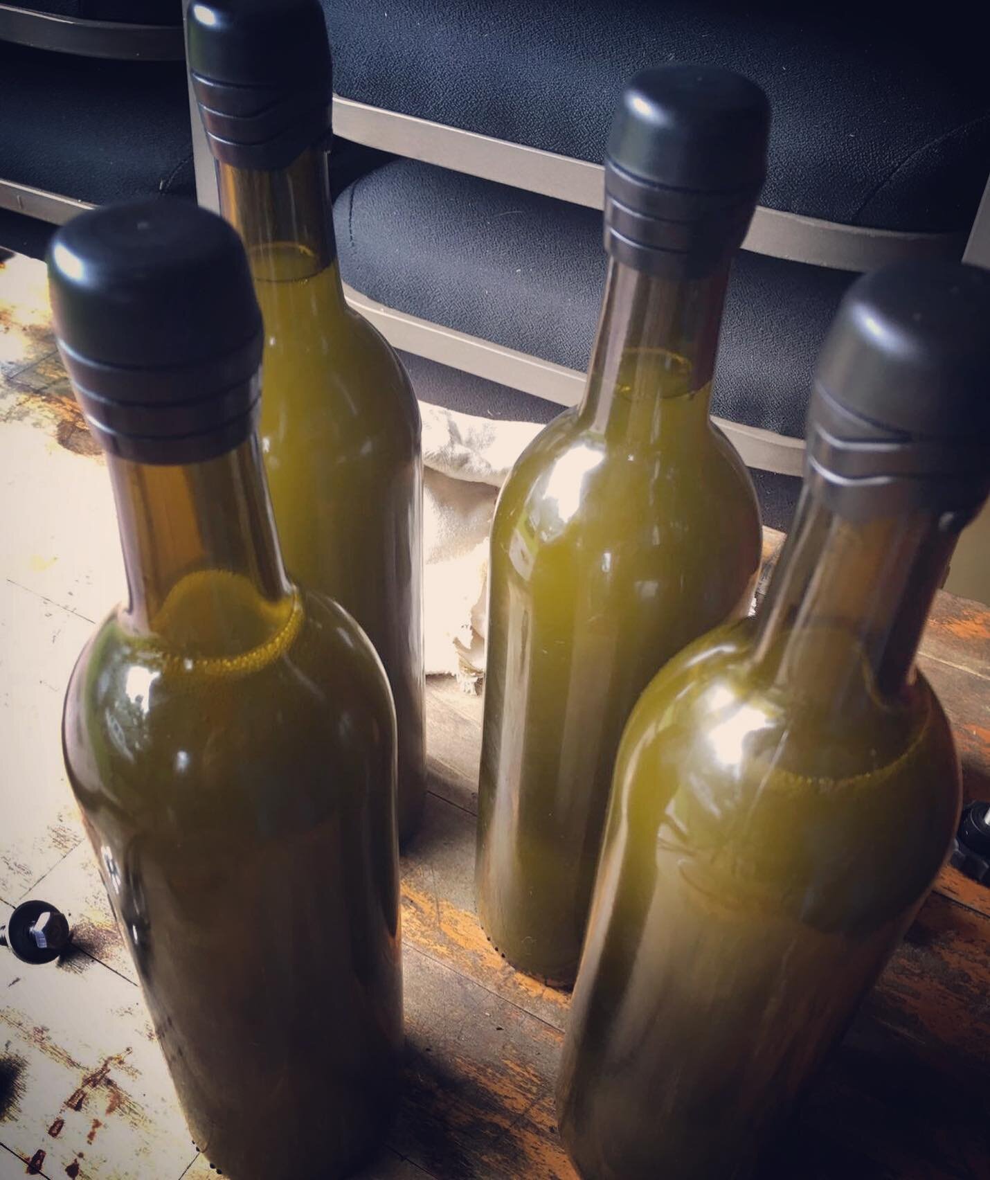 A little flashback: photo circa 2016 when we did our first press of olive oil from our trees and after all the harvesting, we were left with four large bottles of green gold 🍾🍾🍾🍾. It was such a precious moment at the beginnings of this new ventur