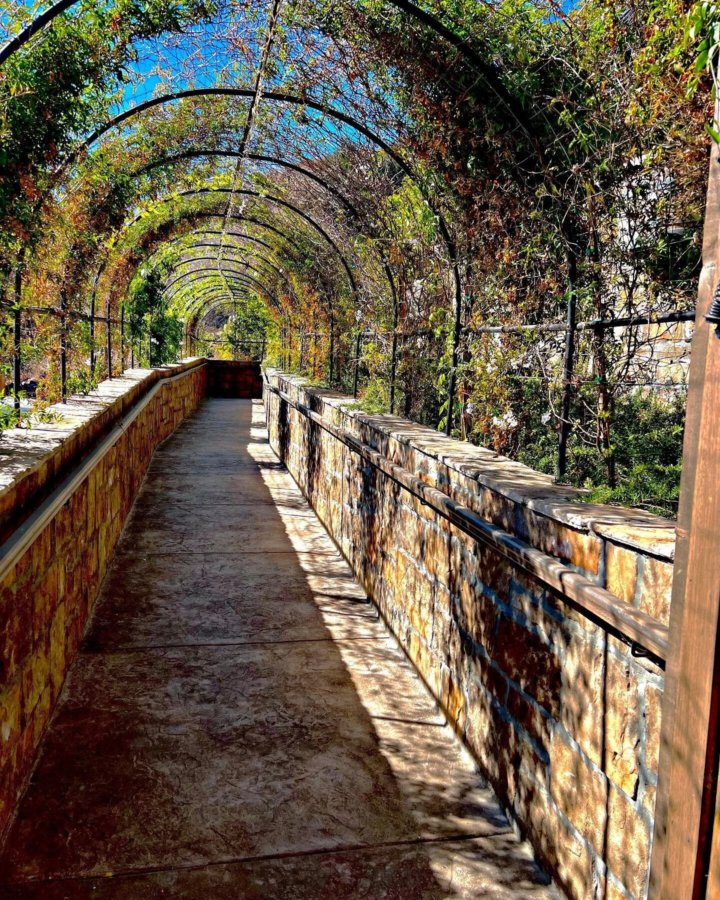 Fall colors&hellip; November weather 🍁 🍂 
Now booking family staycations at the inn for your enjoyment of the grounds &amp; all of our gathering spaces. Ask about our property buyout rates for a fun family adventure!