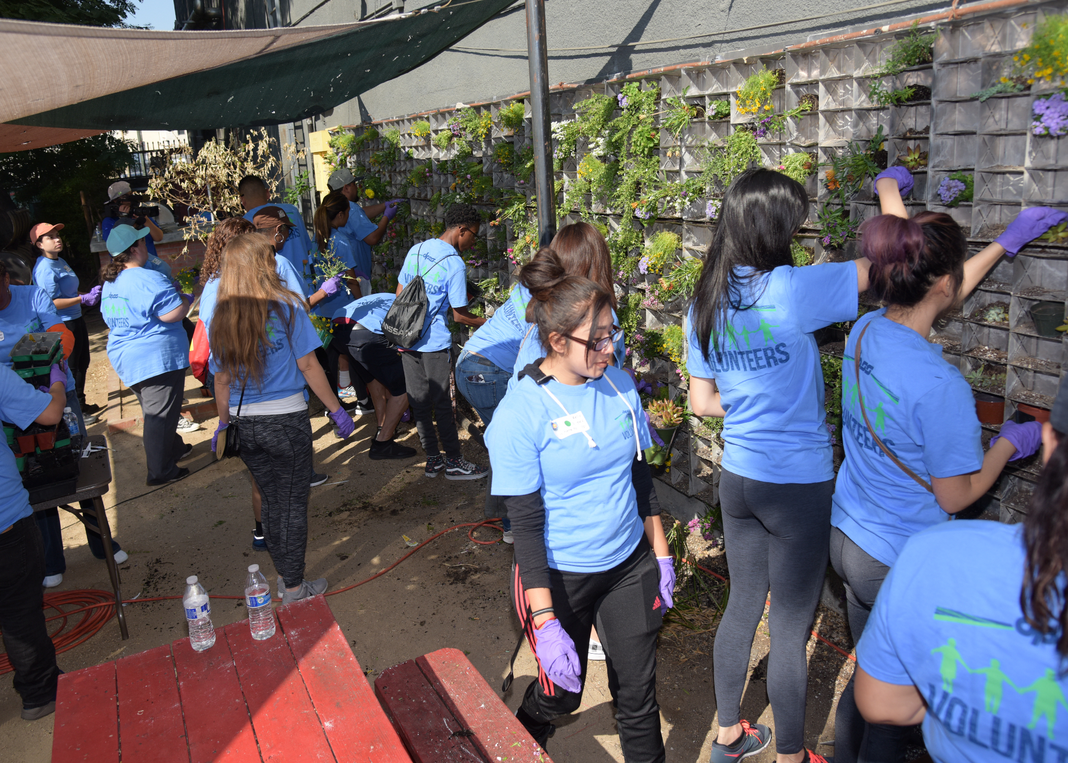 Volunteers
